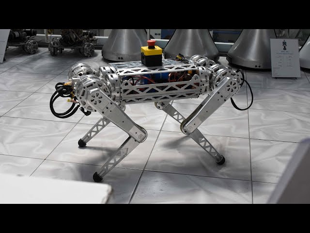 ROBOT